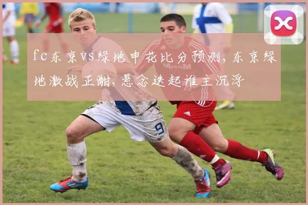 fc东京vs绿地申花比分预测,东京绿地激战正酣,悬念迭起谁主沉浮