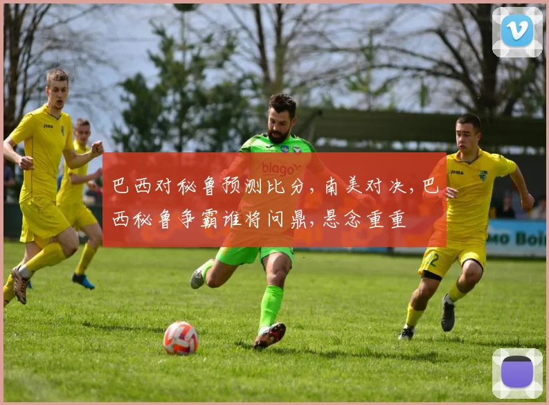 巴西对秘鲁预测比分,南美对决,巴西秘鲁争霸谁将问鼎,悬念重重