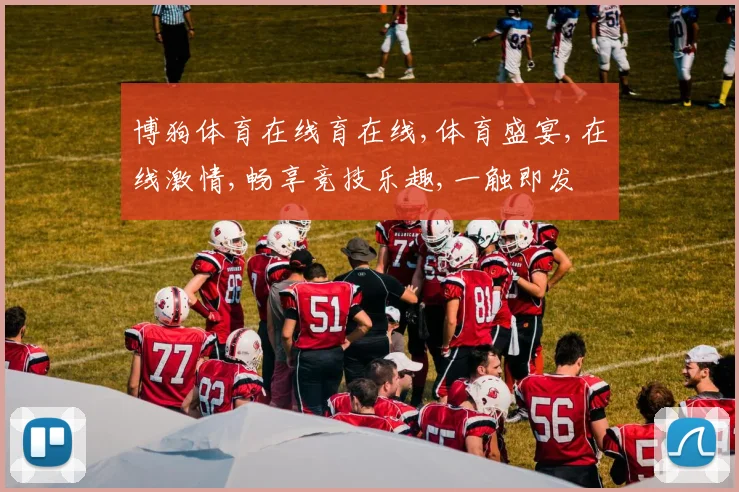 博狗体育在线育在线,体育盛宴,在线激情,畅享竞技乐趣,一触即发